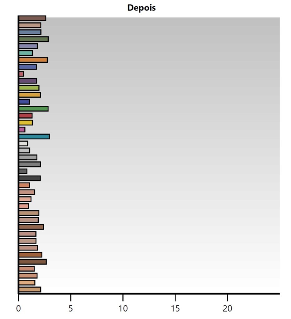 Color Checker – depois