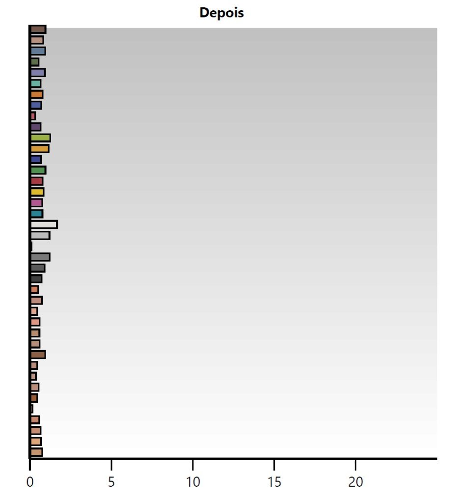 Color Checker – depois